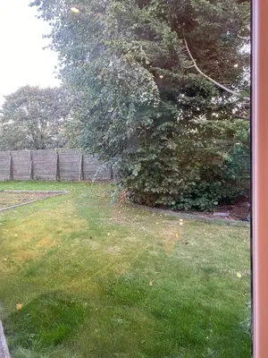a yard with a fence and a tree at The Barn in Hawkhead