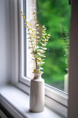 a vase with flowers in it sitting on a window sill at Caledonia Apartment in South Cobbinshaw