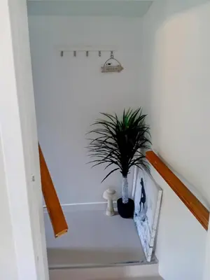 a plant sitting on a shelf in a stair case at The Bunker, Golf Cottage in Prestwick