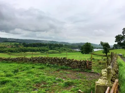 a stone wall in a field with a fence at Tin Lid Cottage - cosy ground floor flat in Banton