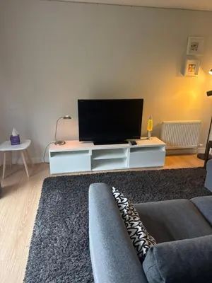 a living room with a couch and a tv at Spacious & Modern Garden Apartment in Bearsden