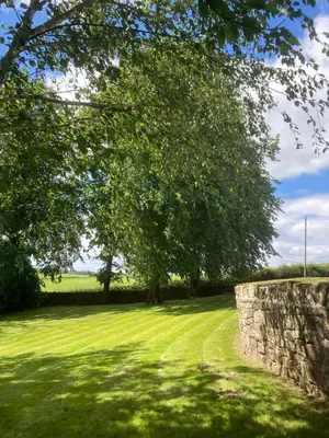 a green field with a tree and a stone wall at Marshill Farmhouse in Blackwood