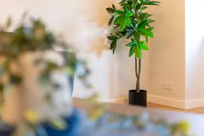 a plant in a black pot on a table at The Annick Suite No2 - Donnini Apartments in Irvine