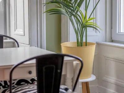 a plant in a yellow pot sitting next to a table at City Haven Main Door & Parking - Pass the Keys in Glasgow