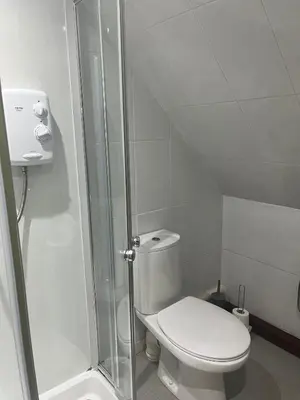 a white bathroom with a toilet and a shower at The Bee Hive Hotel in Coylton