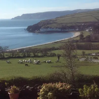 a herd of animals grazing in a field next to a beach at Beachview Cottage Co. Antrim in Cushendun