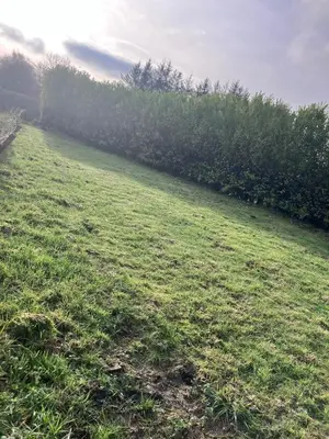 a field with green grass and trees in the background at The Gatehouse, 2 bedroom detached cottage in Beith