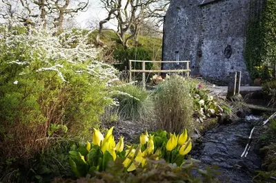 a garden with yellow flowers in front of a building at The Hidden Mill, Historic Beauty Spot and spa in Castle Douglas