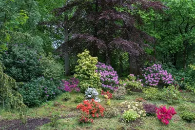 a garden filled with colorful flowers and trees at West Plean House in Stirling