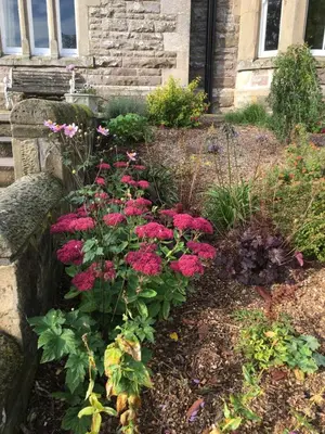 a garden with pink flowers in front of a building at Creity Hall Guest House in Doune