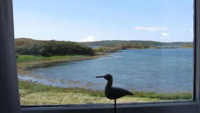 a bird sitting on a window sill looking out at a lake at Craobh Haven Cottages in Craobh Haven