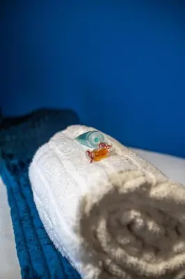 a roll of toilet paper sitting on top of a bed at Bonnie Apartment in Coatbridge