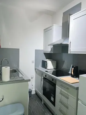 a kitchen with a sink and a stove top oven at King Apartment in Falkirk