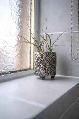 a potted plant sitting on a ledge next to a window at Muirhead House in Motherwell