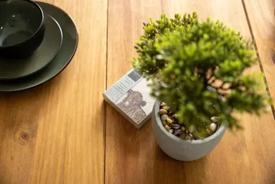 a potted plant sitting on top of a wooden table at Spacious 3 Bed Home in Glasgow City With Free Parking in Glasgow