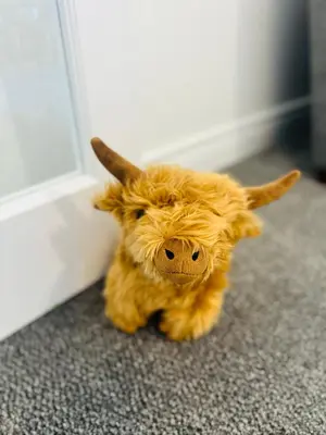 a stuffed animal sitting on the floor next to a door at Kilmartin Court Apartments - No3 By The Sea & No2 With A View - free parking in Oban