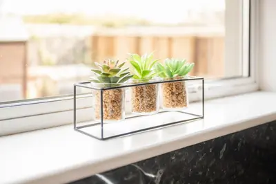 a shelf with three plants on a window sill at 3-Bed Home Near Town Center in Stirling
