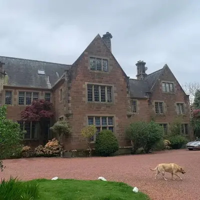 Lovely Carlung House