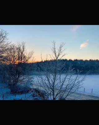 a tree in the snow next to a body of water at North Lodge Holiday Home, Hot Tub & Sauna in Carnwath