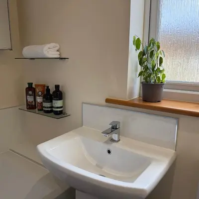 a bathroom with a sink and a potted plant at Mountain View House Kinlochleven in Kinlochleven