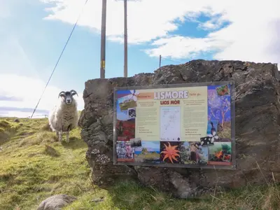 a sheep standing next to a sign on a hill at The Old House, Balure in Oban
