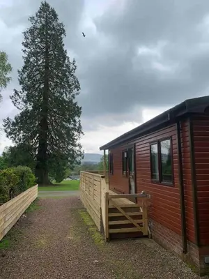 a small cabin with a fence next to a tree at The Woodhouse Cabin 8 in Moffat