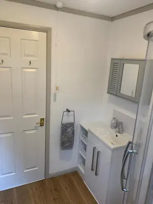 a bathroom with a sink and a white door at The Woodhouse Cabin 8 in Moffat