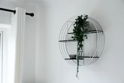 a plant in a glass planter hanging on a wall at Homely 2 Bed House with Private double driveway in Oban
