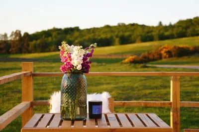 a vase filled with flowers sitting on a table at The Barn, Summerhill Farm Stays in Balmaclellan