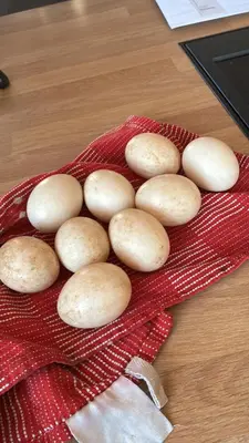 a group of buns on a red plate on a table at Lerags glen farm pods in Lerags