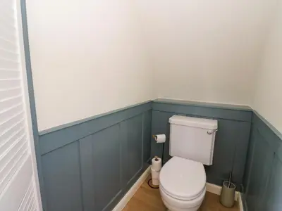 a bathroom with a white toilet and blue walls at Erraid in Oban