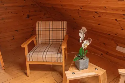 a chair and a table with a potted plant in a room at Lodge 2 in Stirling