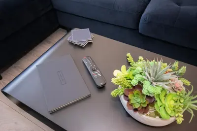 a remote control sitting on a coffee table with a plant at The White House near Edinburgh in Bathgate