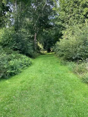 a grass path with trees and bushes in a field at The View in Ballantrae