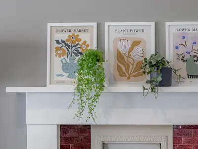 a shelf with three plants on top of a fireplace at Pass the Keys West End Wonder in Glasgow