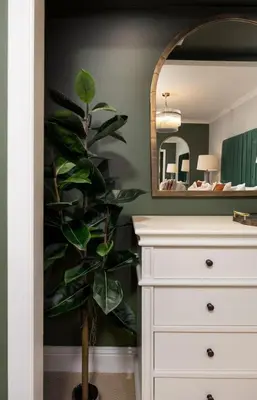 a bathroom with a mirror and a plant next to a dresser at Emerald Suite, The Stirling Residence in Stirling