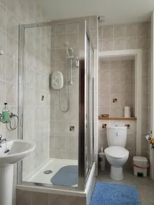 a bathroom with a shower and a toilet and a sink at Summer's Bay in Rothesay