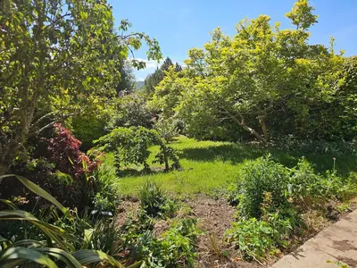 a garden with grass and trees and bushes at The Robin House in Ravelston in Edinburgh