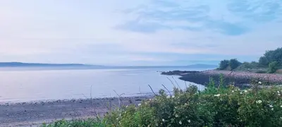 a beach with a view of the water and trees at Thistle & Tide in Edinburgh