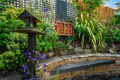 a garden with a bird feeder on a stone wall at Edinburgh Pad in Edinburgh