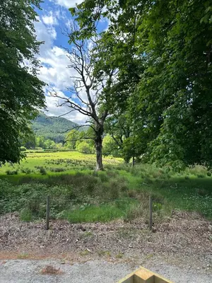 a tree in the middle of a field at 27 Glenfinart Caravan Park in Dunoon