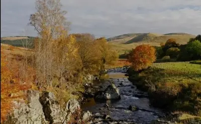 a river in the middle of a field with trees at Granite House in Carsphairn