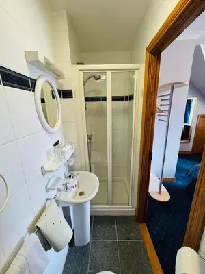 a bathroom with a sink and a shower at The Villa Hamilton in Hamilton