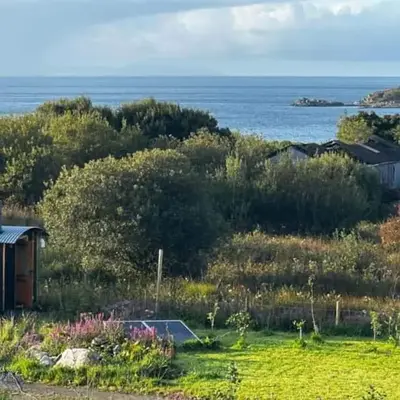 The Shepherd's Hut