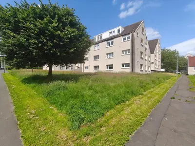 a tree in the grass next to a building at Modern Ground Level Flat in Clydebank