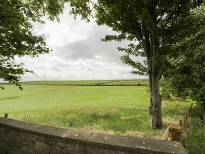 a field with a tree and a fence at Marshill Farm House in Lanark