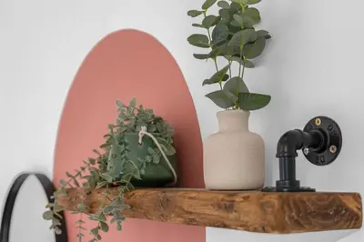 a shelf with a plant and a vase on it at Free Parking - Central - Sleeps 6 - 2 Bedrooms in East Calder