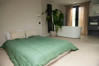 a bedroom with a green bed and a plant at Wimbledon Tennis House in Moffat