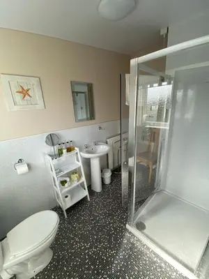 a bathroom with a toilet and a shower and a sink at Stables Guest House in Newton Stewart