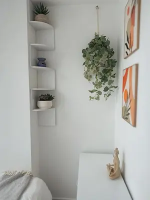 a room with white walls and shelves with plants at Duplex - City Centre 4-Bed Retreat in Edinburgh